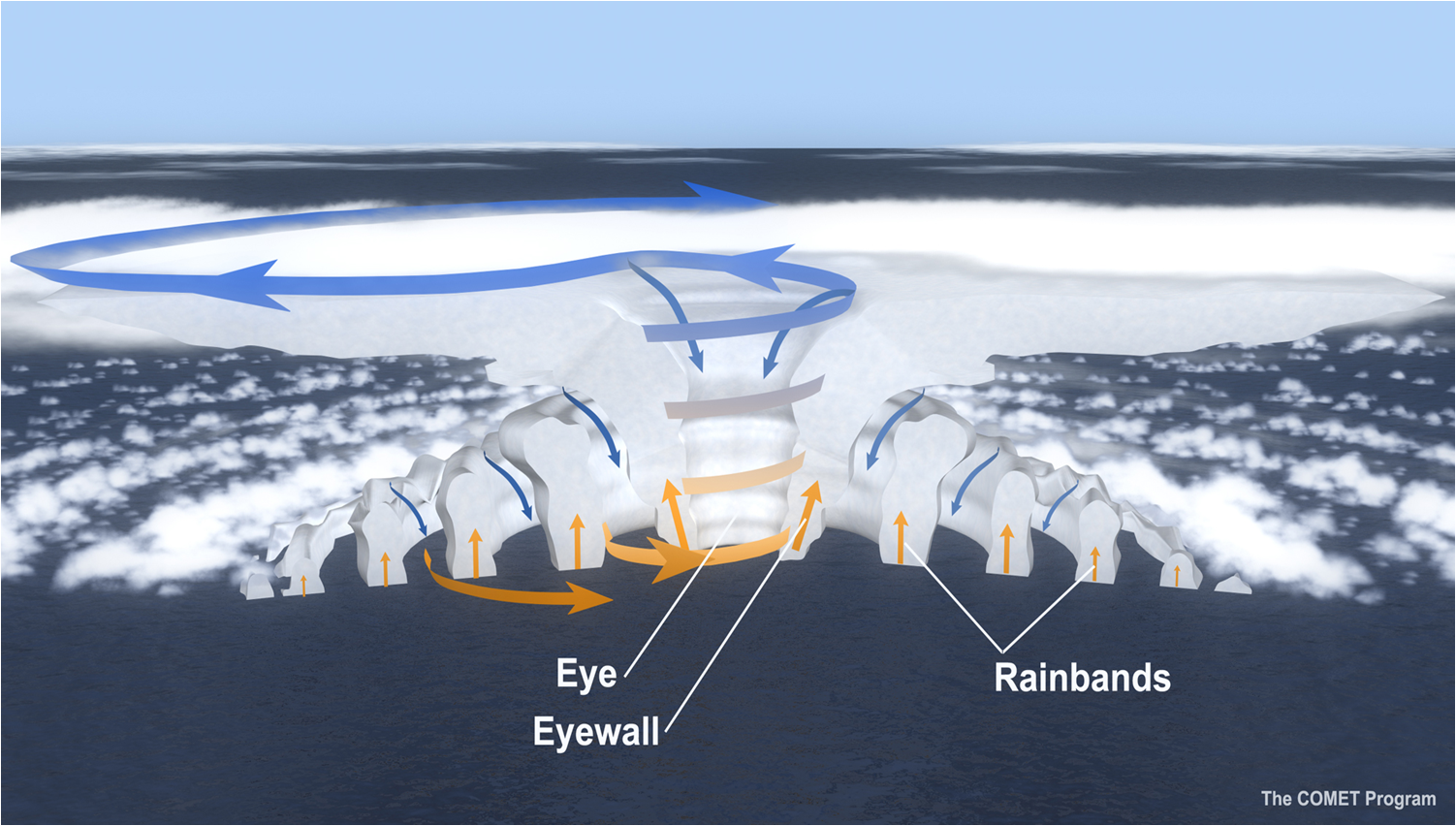 cross-section