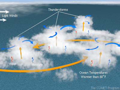 Hurricanes: Science and Society: Hurricane Genesis: Birth of a Hurricane