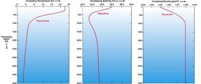 Plots of typical water properties in the open ocean.
