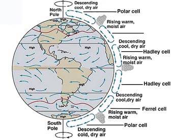 Illustration of surface wind patterns