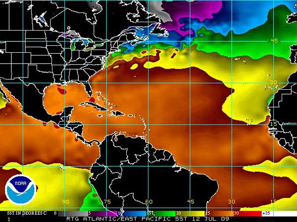 Image of the Reynolds SST analysis.