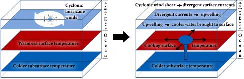 Upwelling in the upper ocean.